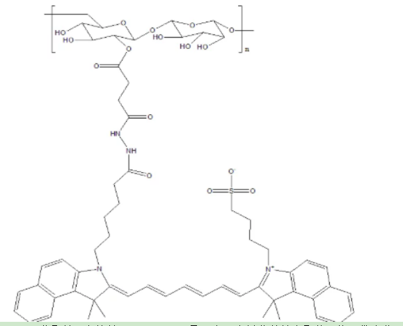 葡聚糖-吲哚菁綠,ICG-Dextran,ICG標(biāo)記葡聚糖