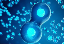 細胞培養(yǎng)（cell culture）實驗外包