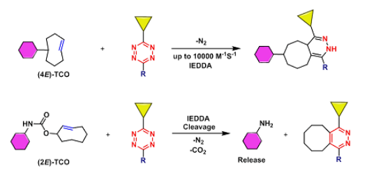 BCN-PEG-Rhodamine B  環(huán)丙烷環(huán)辛炔聚乙二醇羅丹明B