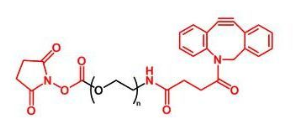 NHS-PEG-DBCO NHS-PEG-DBCO