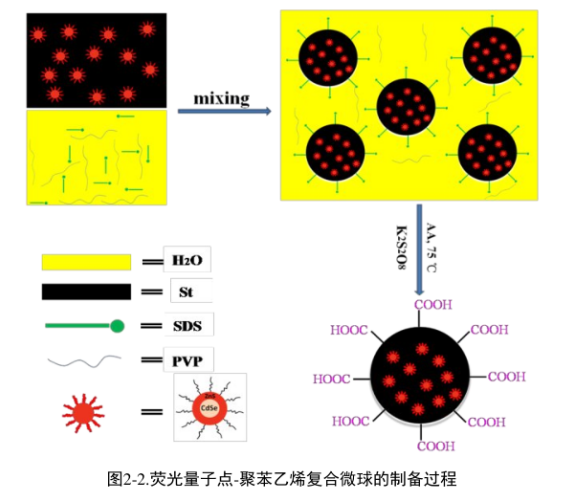 羧基功能CdSe/ZnS量子點@聚苯乙烯復合熒光微球