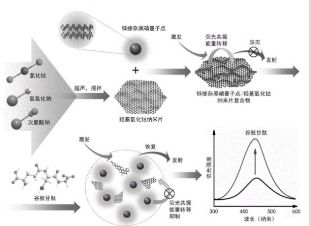 鋅摻雜黑磷量子點