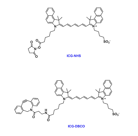ICG-COOH、Sulfo-ICG-COOH、ICG-NHS