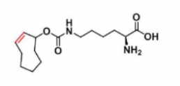 N-(2E)-TCO-L-lysine N-(2E)-TCO-L-lysine