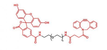  FITC-PEG-DBCO   熒光素聚乙二醇二苯基環(huán)辛炔
