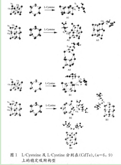 L-半胱氨酸-CdS量子點(diǎn)