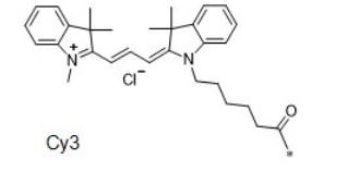 Cy3花氰染料  CAS號:1284240-77-2
