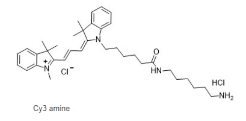 Cy3-amine, cas:2247688-56-6 熒光染料