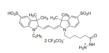 Cyanine3 hydrazide,Cy3-酰肼,Cy3 hydrazide