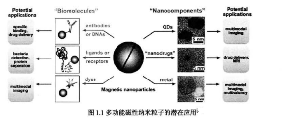 親水性Fe304磁性/ZnS量子點復合微球