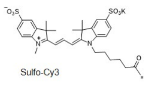 水溶性CY3  Sulfo-Cyanine3 磺化Cy3(sulfo-Cy3)
