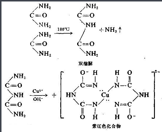 葡萄糖偶聯(lián)卵清蛋白