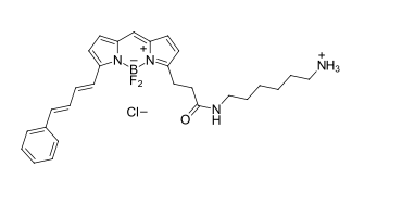 BDP 581/591 amine 氨基修飾的BDP染料