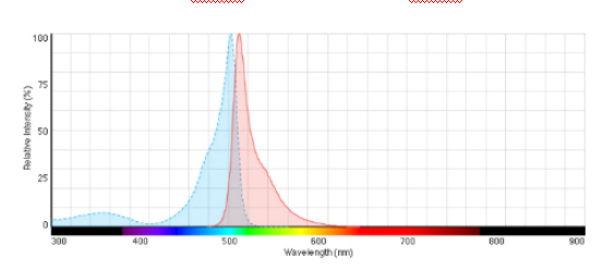 BODIPY 581/591 C11（脂質(zhì)過(guò)氧化傳感器）