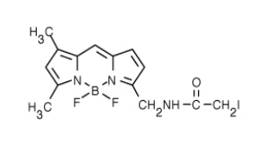 BODIPY FL 碘乙酰胺（BODIPY FL C1-IA，N-(4,4-二氟-5,7-二甲基-4-硼雜-3a,4a-
