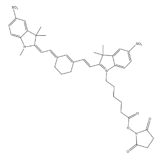 脂溶性Cyanine7 NHS ester 花菁染料CY7標(biāo)記N-羥基琥珀酰亞胺