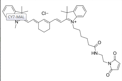 Cas：2183440-60-8 水溶性Cyanine7 Maleimide  