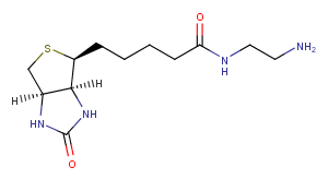 111790-37-5 Biotin-EDA Chemical Structure