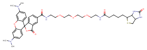 TAMRA-PEG3-biotin Chemical Structure