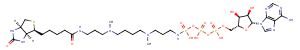 ATP-polyamine-biotin Chemical Structure