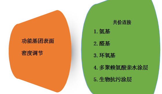 多聚賴氨酸，氨基，醛基修飾的載玻片