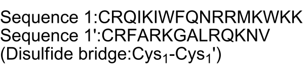 PKC β pseudosubstrate