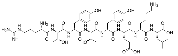 β-catenin peptide β-catenin peptide