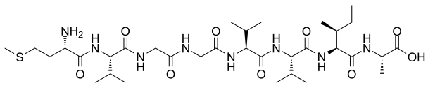β-Amyloid (35-42)