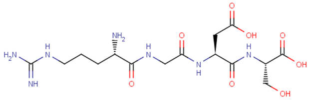 Arg-Gly-Asp-Ser
