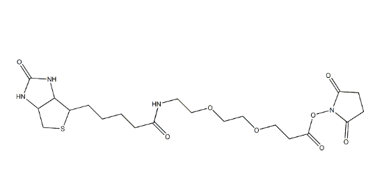 cas:596820-83-6 Biotin-PEG2-NHS ester