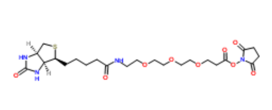 (+)-Biotin-PEG4-NHS Ester 生物素-四聚乙二醇-活性脂