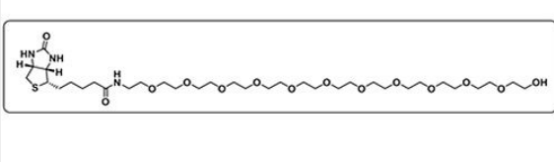 Biotin-PEG12-OH 生物素-十二聚乙二醇-羥基