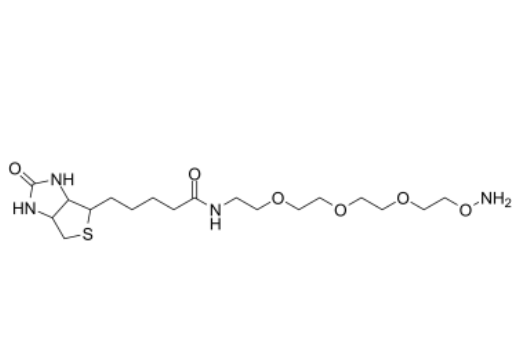 BIOTIN-PEG3-OXYAMINE 生物素-三聚乙二醇-羥胺鹽酸鹽