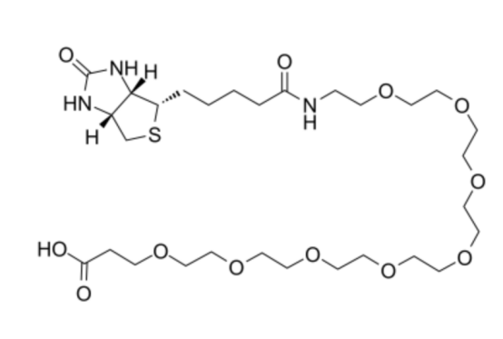 cas:2143964-62-7 Biotin-PEG8-acid 生物素-八聚乙二醇-羧酸