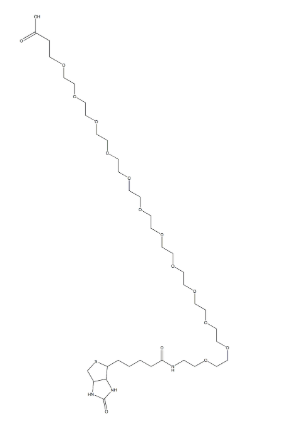 Biotin-PEG36-acid cas948595-11-7 生物素-三十六聚乙二醇-羧基
