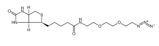 cas:945633-30-7 (+)-Biotin-PEG2-azide 生物素三聚乙二醇疊氮
