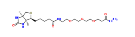 cas:1381861-94-4 Biotin-PEG3-propionic hydrazide