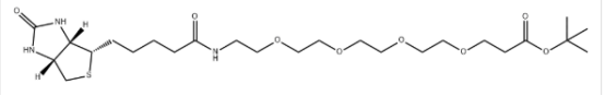 Biotin-PEG4-Boc cas:1660991-09-2