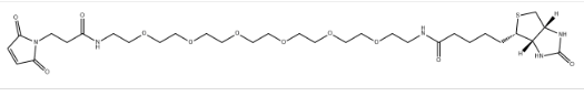 Biotin-PEG6-amido-Mal CAS1808990-66-0