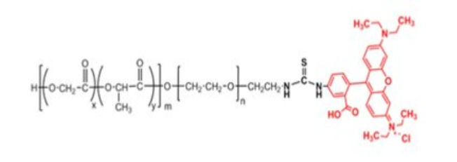 PLGA-PEG-RB，聚乳酸-羥基乙酸共聚物-聚乙二醇-羅丹明