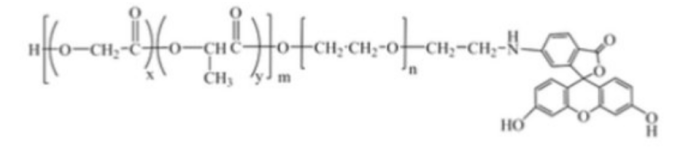 PLGA-PEG-FITC，聚乳酸-羥基乙酸共聚物-聚乙二醇-熒光素