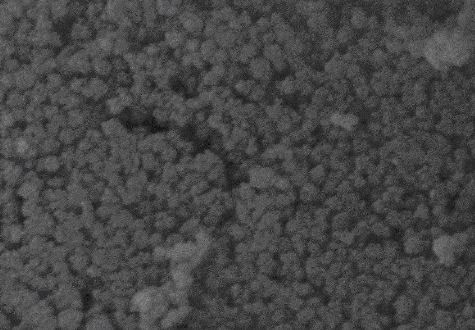 Gold Nanorods，長(zhǎng)徑比為5（濃度0.5mg/ml）
